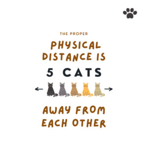 The Proper Physical Distance is 5 Cats (Mens) Design